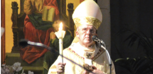 Saluda del cardenal arzobispo